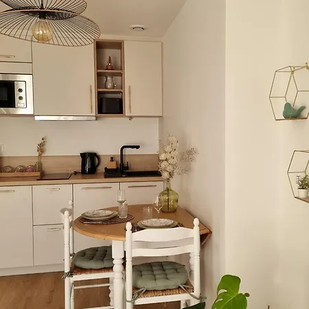 Les Castors * Carcassonne