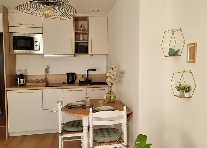 Les Castors * Carcassonne