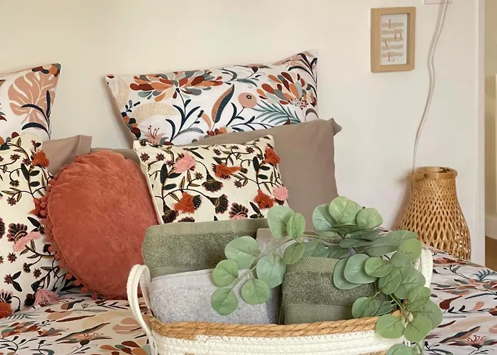 Les Castors * Carcassonne